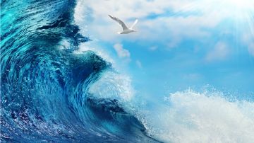 3000场纪念，换上我最爱的头像