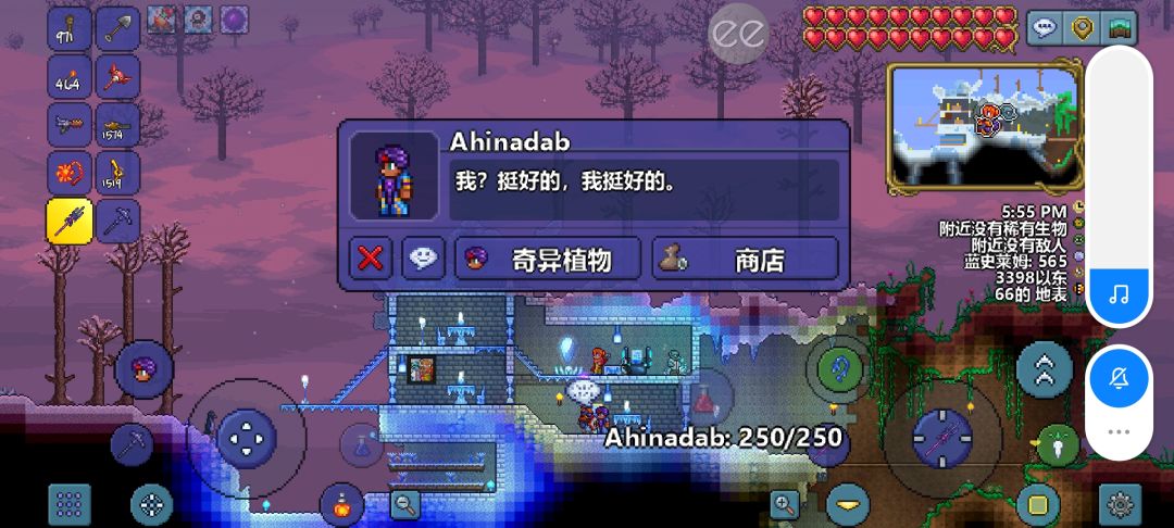 动态图片 4
