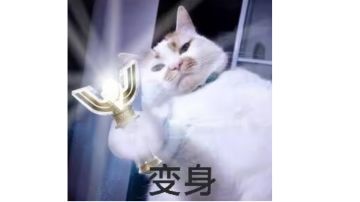 新手攻略: 输出型使魔