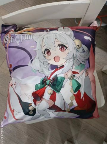 抱枕应该陆陆续续发到玩家手里了