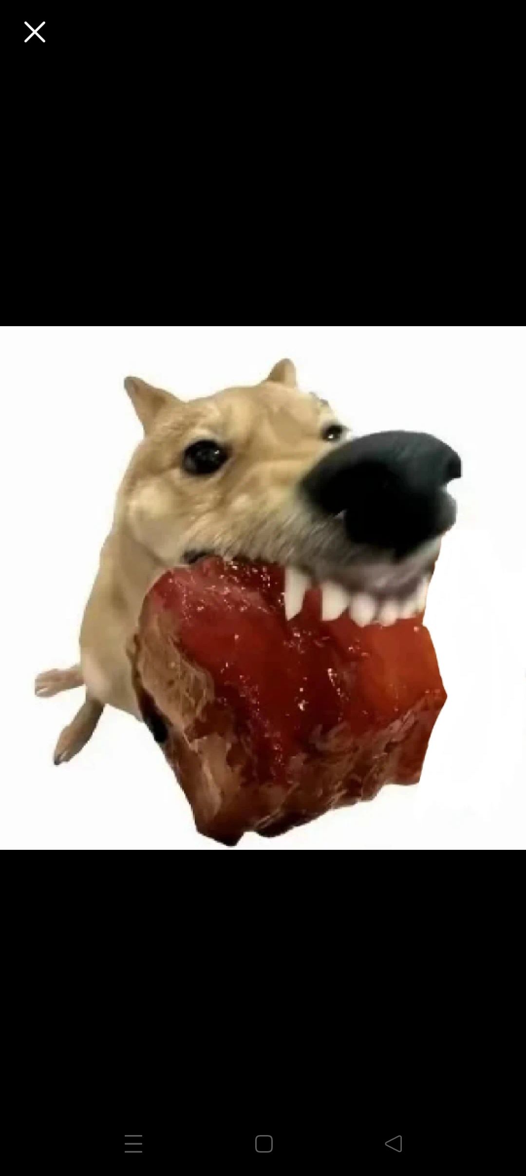 队友玩的是什么抽象机子? 1