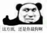这开局直接给我整笑了 2
