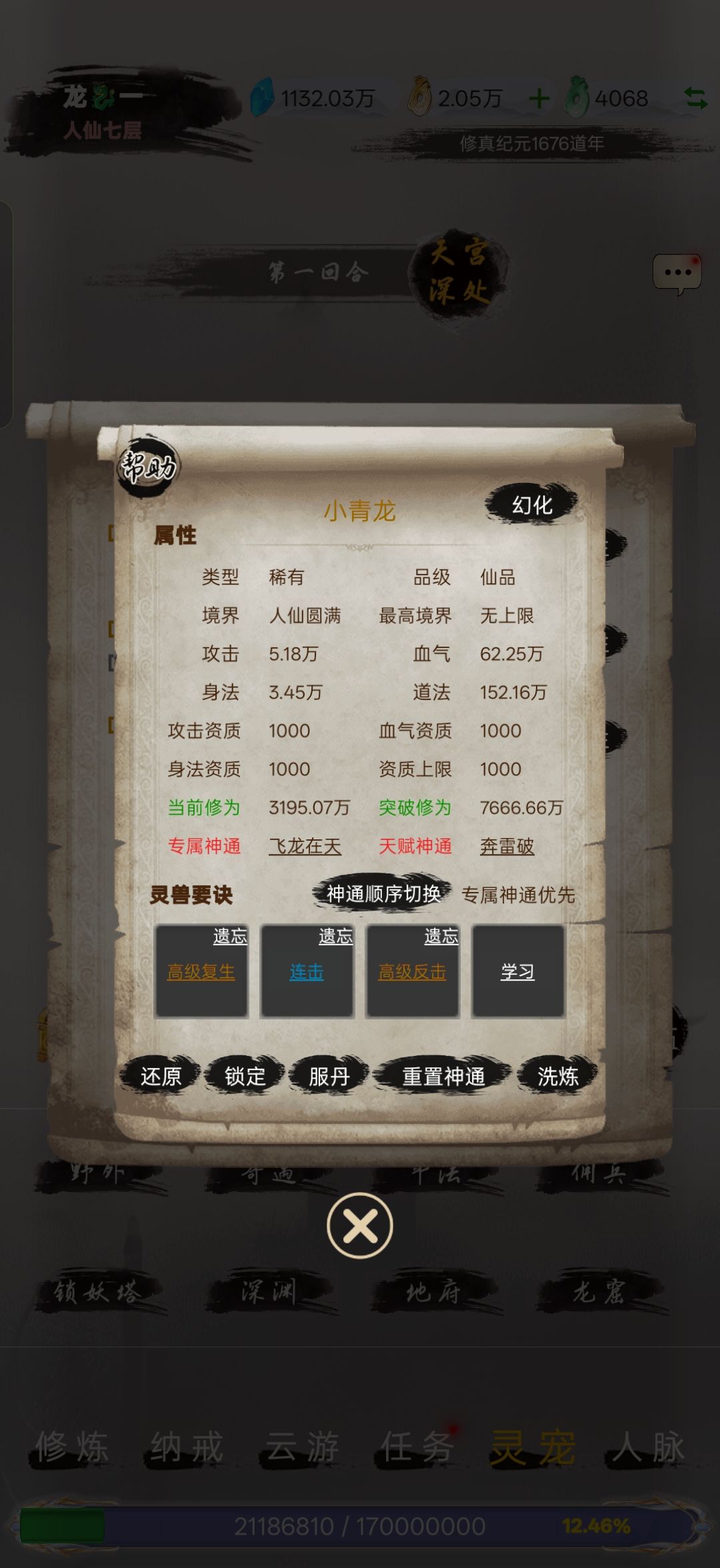 我的灵宠 2