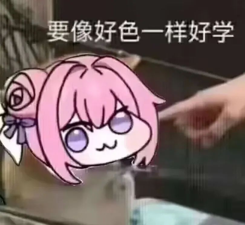 对不起😭斯卡蒂老婆,这次我叒叕见异思迁了 1