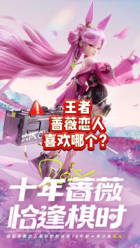 王者蔷薇恋人更喜欢哪个？