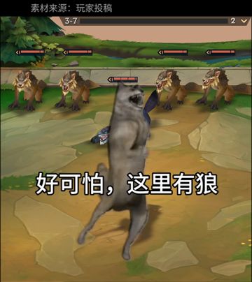 起猛了，金铲铲里面看到狼了