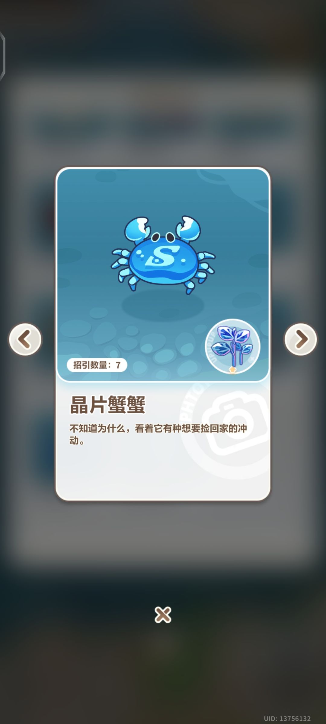 未定文案组你是会整活的 3