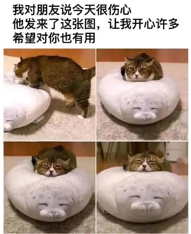 ✨今日份梗图分享第四十二期✨ 1