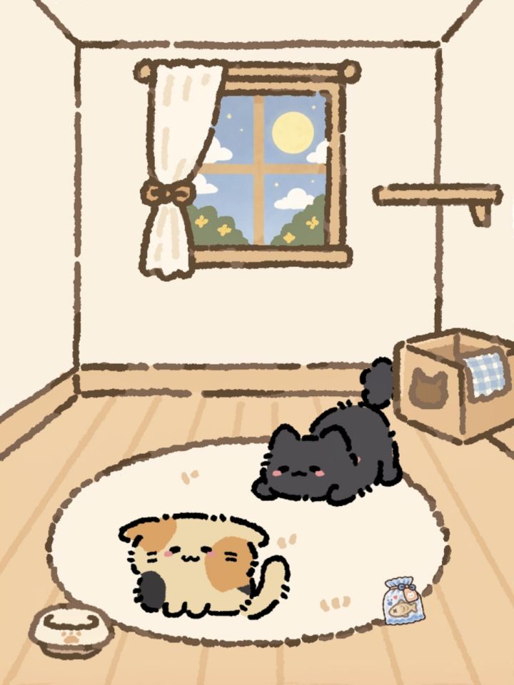 《纸箱猫》｜新养的可爱猫猫！截图