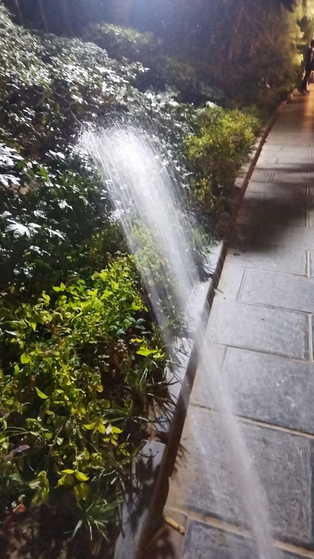 动态图片 18