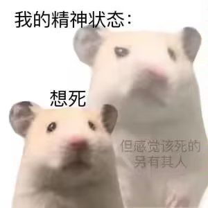 好卡 1