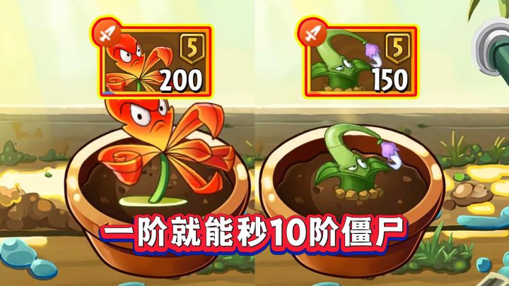 钩爪嘉兰VS鱼钩草,都能一阶秒杀10阶僵尸,差距有多大?截图