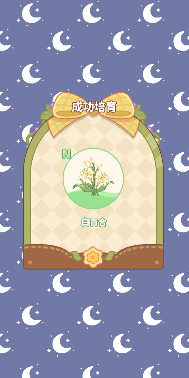 我在小岛的日常 1