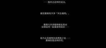 永不屈服的蓝色蔷薇