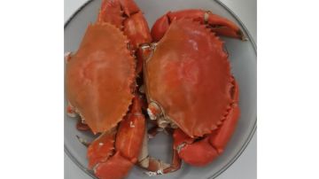 一个孤独玩家的需求