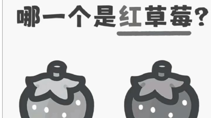 来看看直觉截图