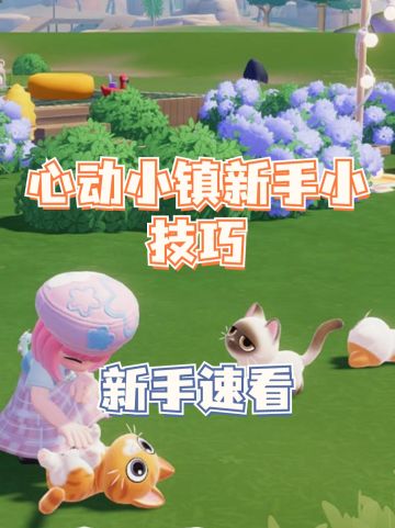 心动小镇新手小技巧✨新手速看✨