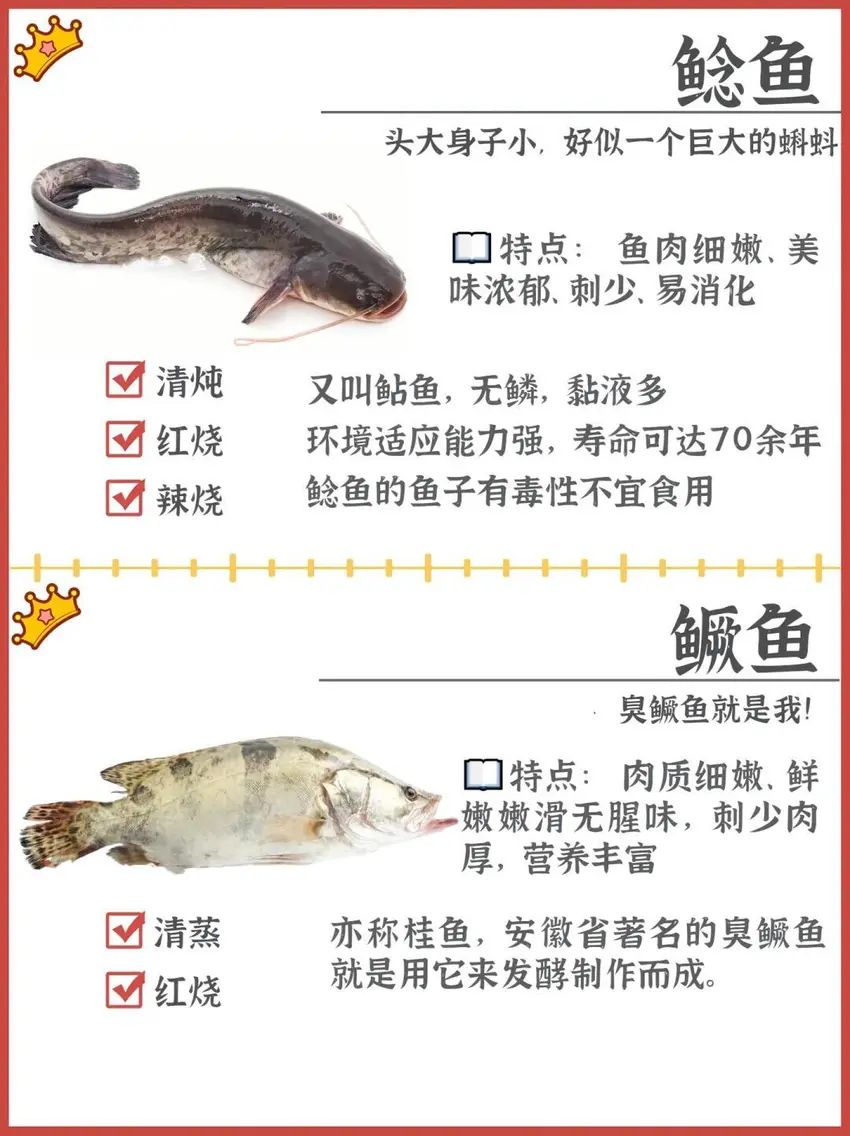 🌟青年大学习|淡水鱼的种类&吃法🌟 3