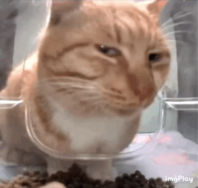 老闪退正常吗？[表情_暗中观察]截图