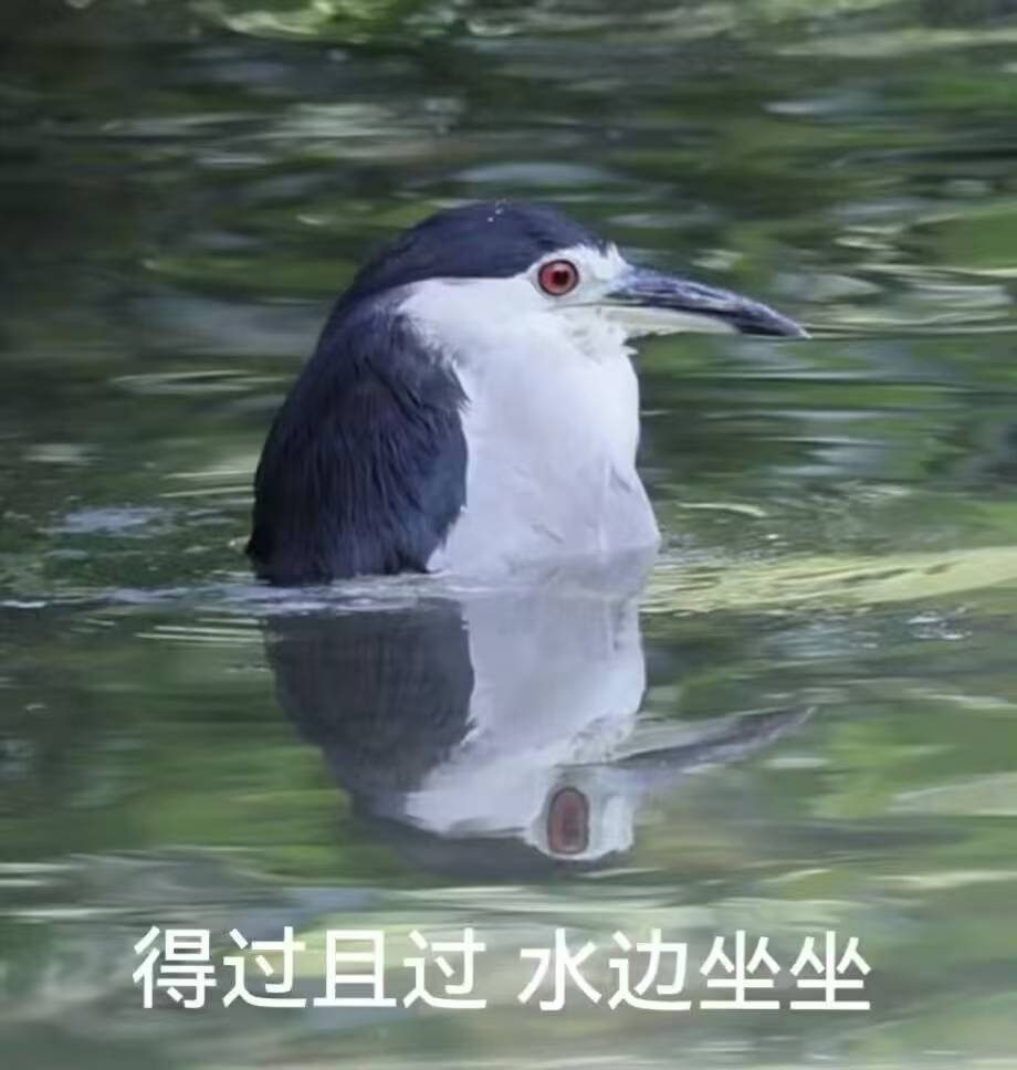 很简单,恶心我,就别怪我恶心这个环境 9