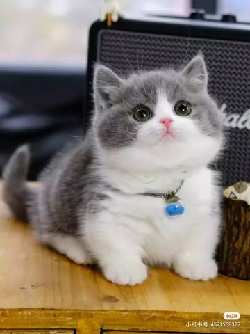 谷雨分享第二期