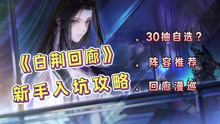 《白荆回廊》新手入坑攻略，30抽六星角色自选攻略以及阵容推荐！截图