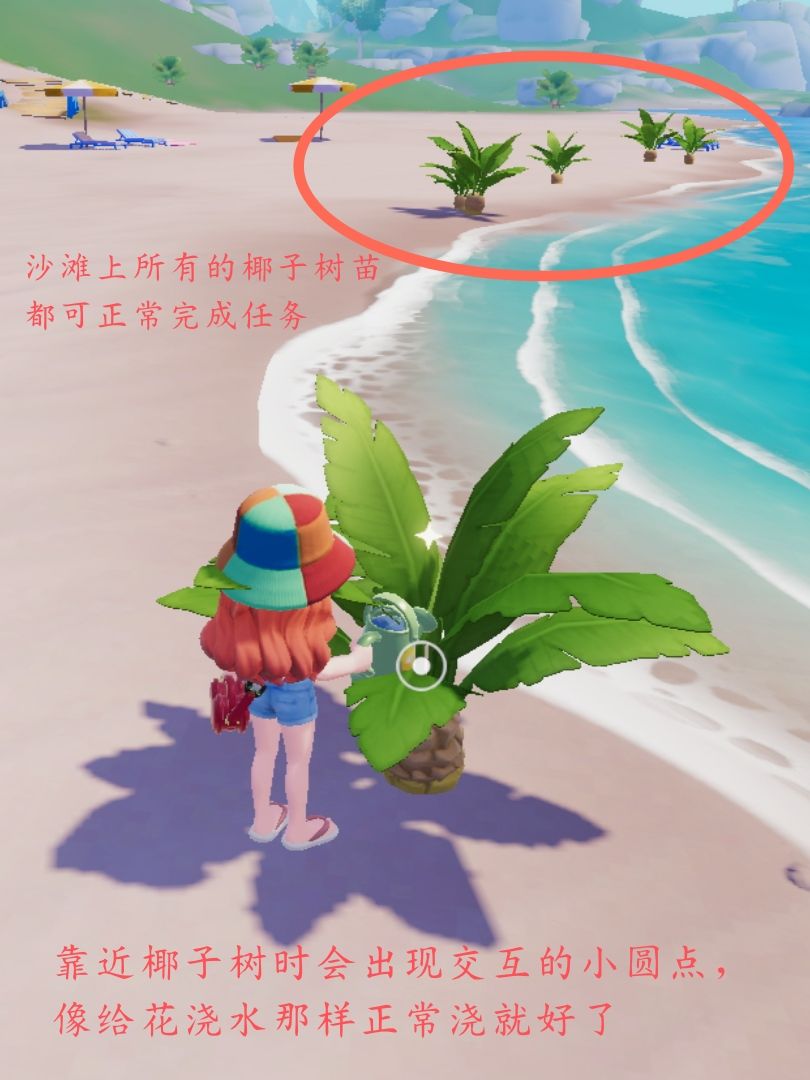 沙滩乐园筹建攻略 布兰克弗妮多萝西浪花篇 2