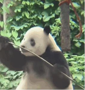 这个活动真的是不断证明我是笨蛋的过程截图