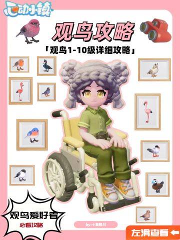 观鸟1-10详细攻略，新手也能看懂的图文攻略