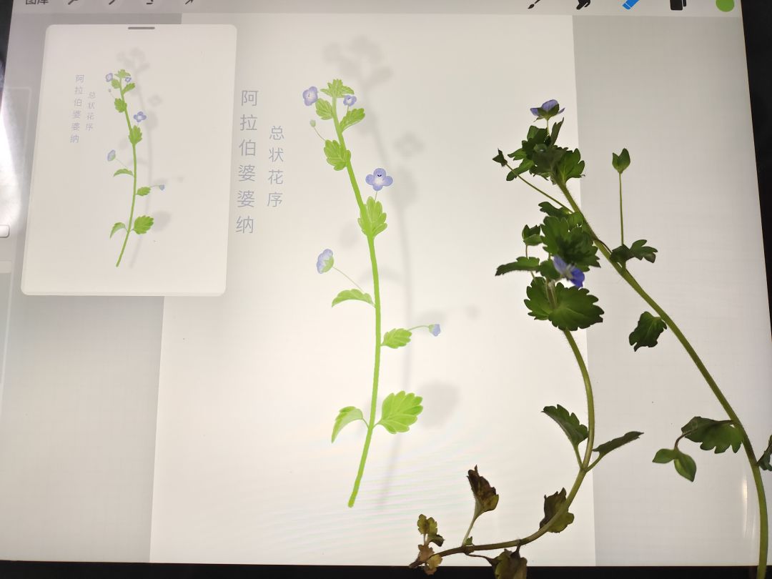 参加活动咯 1