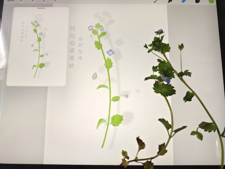 参加活动咯截图