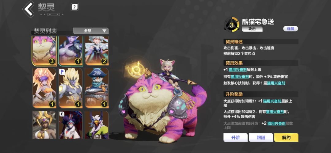专家服玩什么? 1