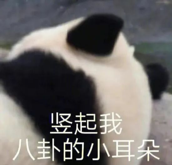 战争之轮四周年福利有多香？签到送五星，自选卡包也返场截图