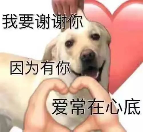 问一下大佬们现在入坑可以吗截图