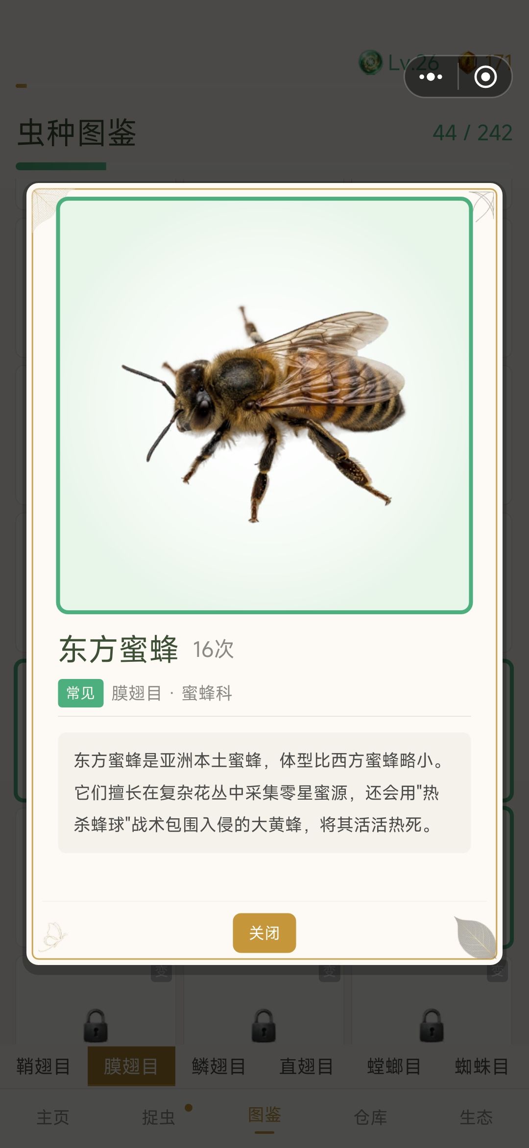 终于出变异的了，还是两只一起出的 3