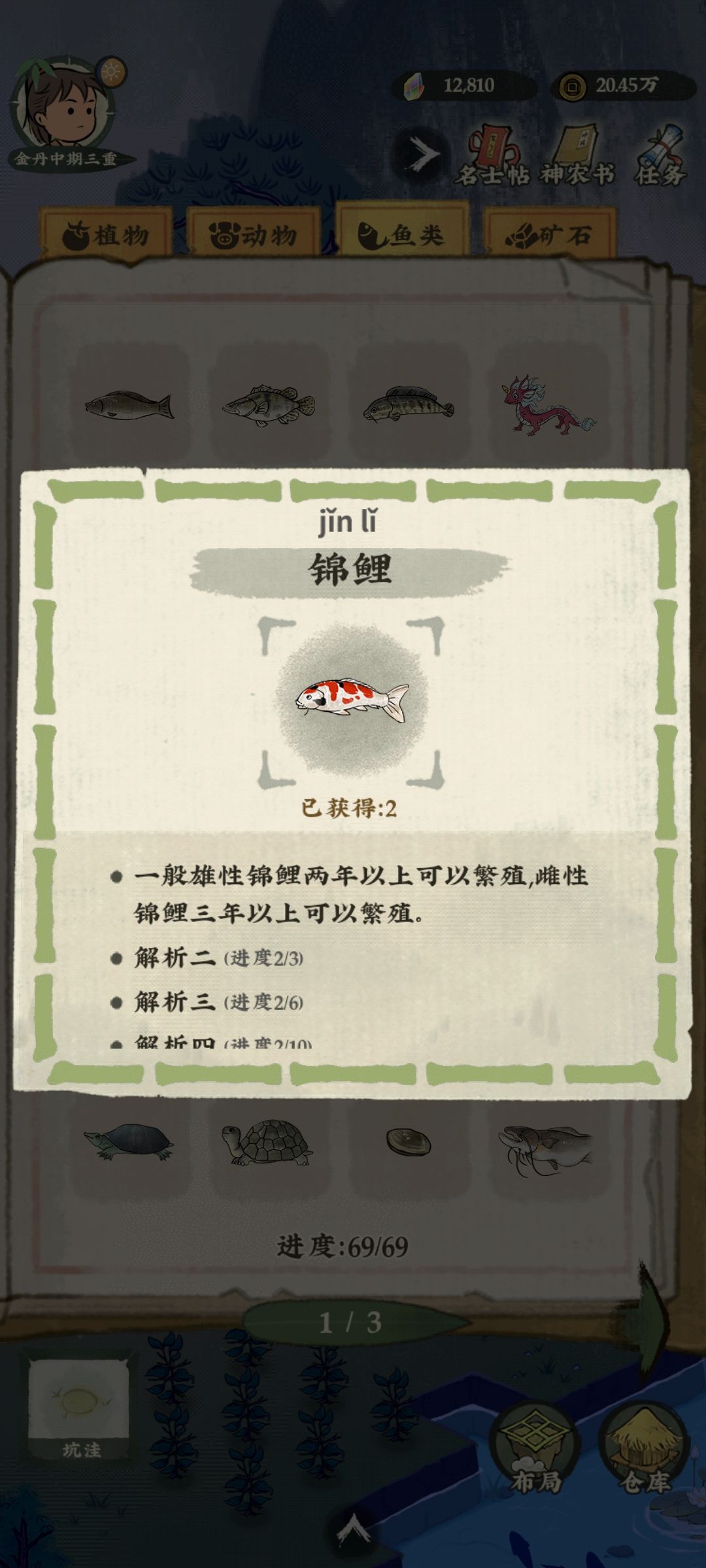 动态图片 6