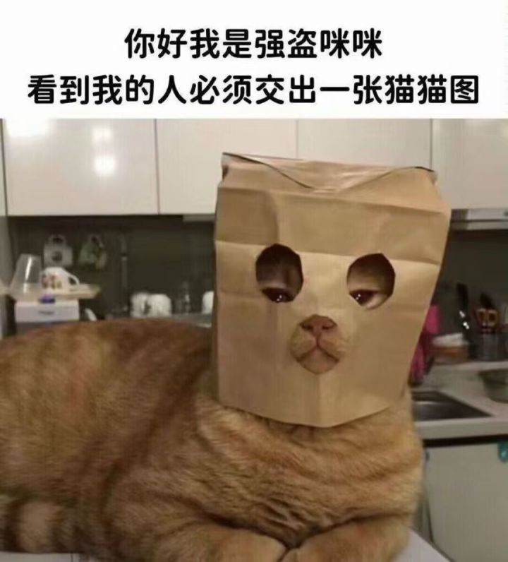 有组队的吗？这游戏给我打傻了，现在传奇1截图