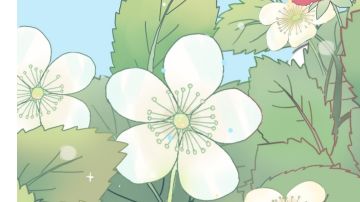 原神艾尔海森传说任务攻略（共3个宝箱