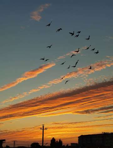 【活动】晚霞征集中奖照片公布！超美晚霞一网打尽！