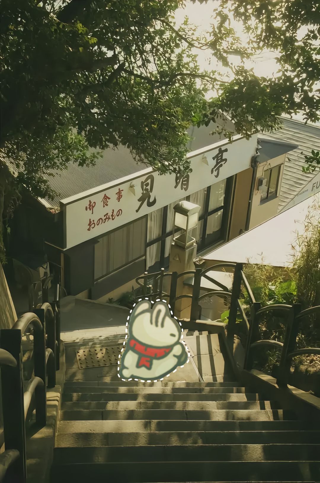 可爱の兔兔 2
