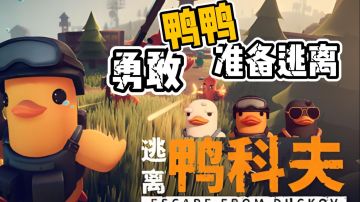 mod里夹私货是不能接受的，这是底线