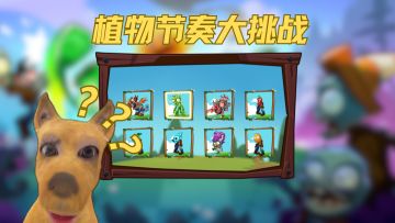 策划：这是谁定的...好名字