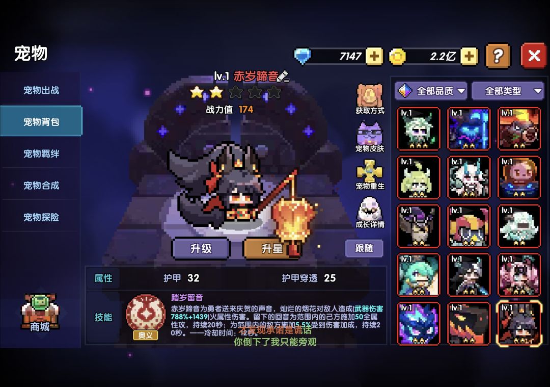 关于宠物 3