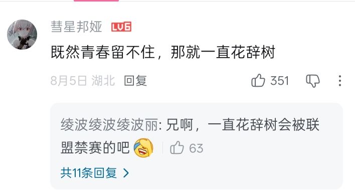 你是否看过王者荣耀这种搞笑评论截图
