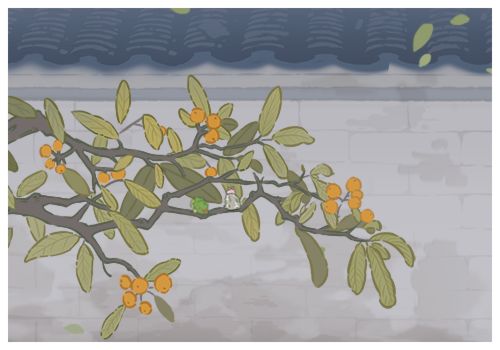 照片存档17 10