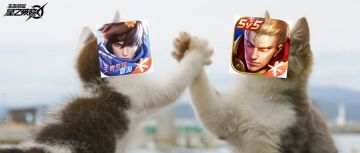 不是一个人的王者，而是团队的荣耀