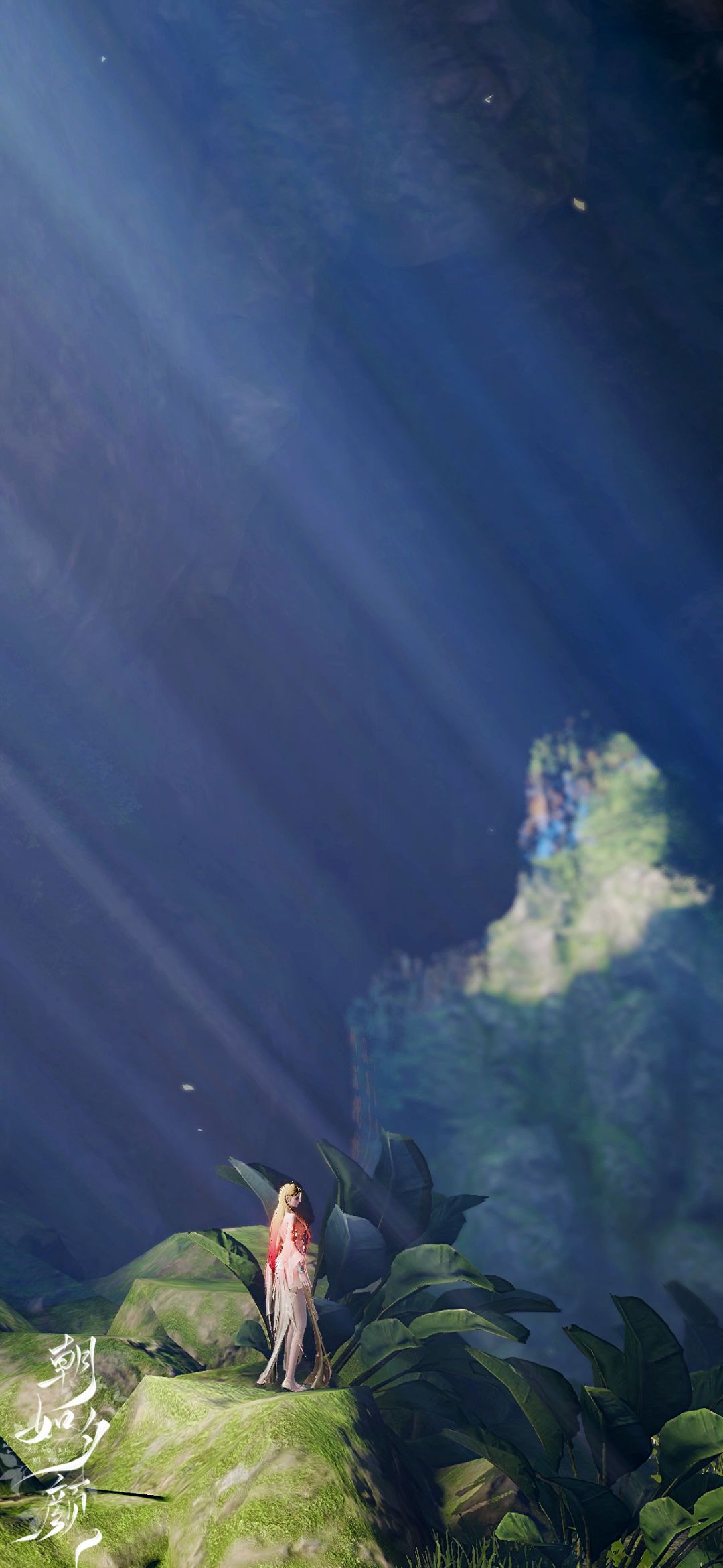 清泠 3
