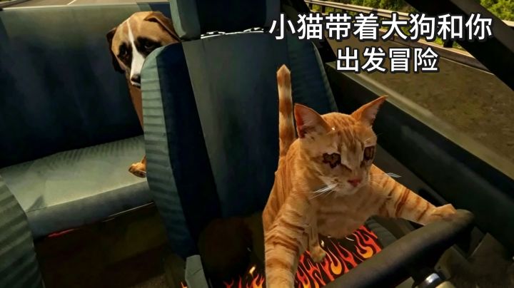 猫师傅手持方向盘开车子,化身小弟完成分配任务截图