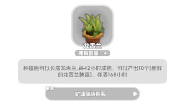 龙舌兰种植建议
