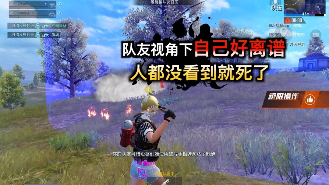 video-3859211